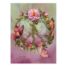 Peace Rose Art Postcard