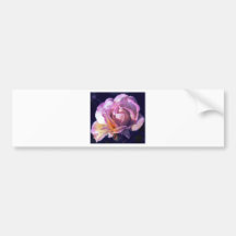 peace rose bumper stickers