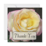 Peace Rose Thank You Cards Announcement