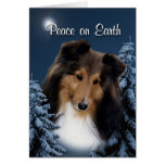 Peace Sheltie Xmas Card