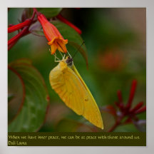 Peace within All Moments Poster