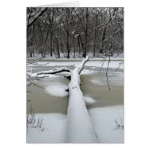 Peaceful Christmas Greeting Card
