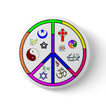 Peaceful Coexistence Pins