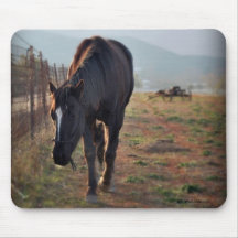 "Peaceful" Horse Mouse Pad