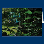 Peaceful leaves of the lilac cards