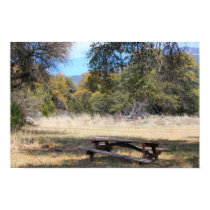 Peaceful Picnic Table in NM Mountains Poster Print posters