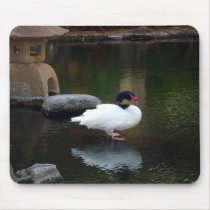 Peaceful pond in Hawaii mousepads
