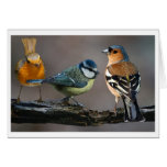 Peaceful Trio Card
