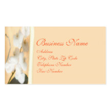 Peach and Orchid Business Cards