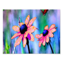 Peach and Pink Flowers Photographic Print