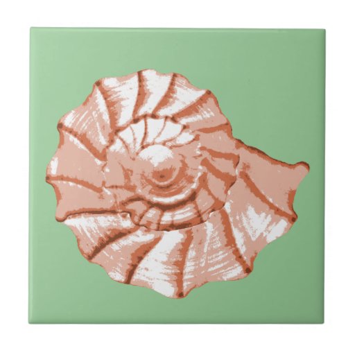 Peach and Sage Nautilus Seashell Tile
