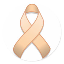 Peach Awareness Ribbon Round Sticker