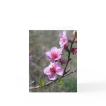 Peach Blossom - Customized Greeting Card