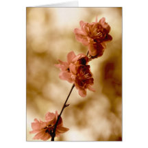 peach blossoms card