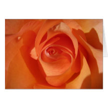 Peach Burst Greeting Card