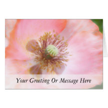 Peach Coloured Annual Poppy Cards