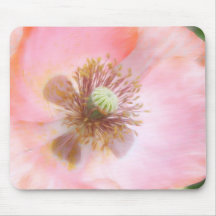 Peach Coloured Annual Poppy Mouse Pad