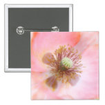 Peach Coloured Annual Poppy Pins