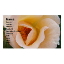 Peach Coloured Rose Business Card Templates