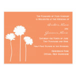 Peach Daisy Invitation Post Cards