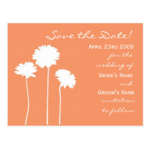 Peach Daisy Save the Date Post Cards