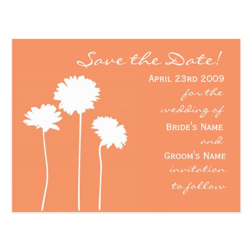 Peach Daisy Save the Date Post Cards