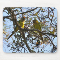 Peach-fronted Parakeet mousepads