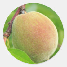 Peach Fuzz Round Sticker