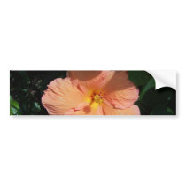 Peach Hibiscus Bumper Sticker
