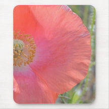 Peach Iceland Poppy Mouse Pad