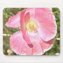 Peach Iceland Poppy Mousepads