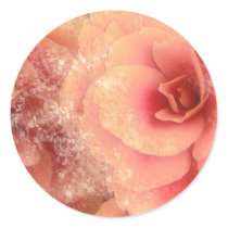 Peach Pink Begonias on Gold Satin, template Round Sticker