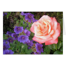 Peach Rose and Purple Geraniums Cards