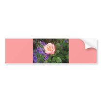 Peach Rose and Purple Geraniums Cards Bumper Sticker