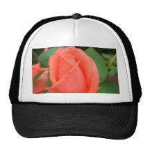 Peach Rose Bud in the Rain CricketDiane Mesh Hat