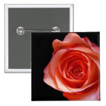Peach Rose Buttons