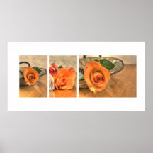 peach rose collage 10x20 hdr print