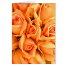 Peach Rose Note Cards