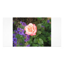 Peach Rose Purple Geraniums Custom Photo Card