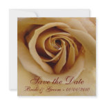 Peach Rose, Save the Date, Bride & Groom - 00/... Invite