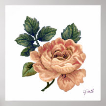 Peach Rose - Vintage Makeover. Print