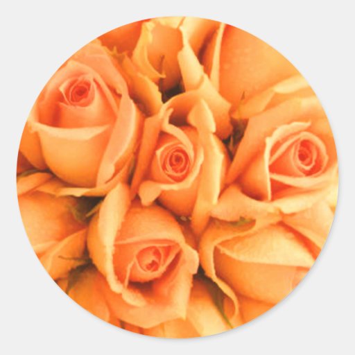 Peach Rose Wedding Envelope Seal Stickers