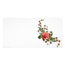Peach Roses Photo Cards