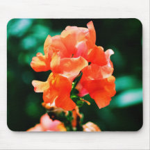 Peach Snap Dragon Mouse Pad