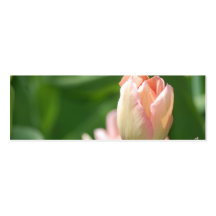 Peach Tulip - Skinny Business Cards
