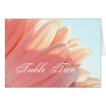 Peaches and Cream- Seating Card
