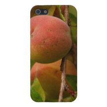 Peaches for Picking iPhone 5 Covers