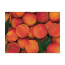 Peaches Post Card