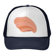 PeachRoseFractal Hats