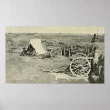 Peachtree Battery Print